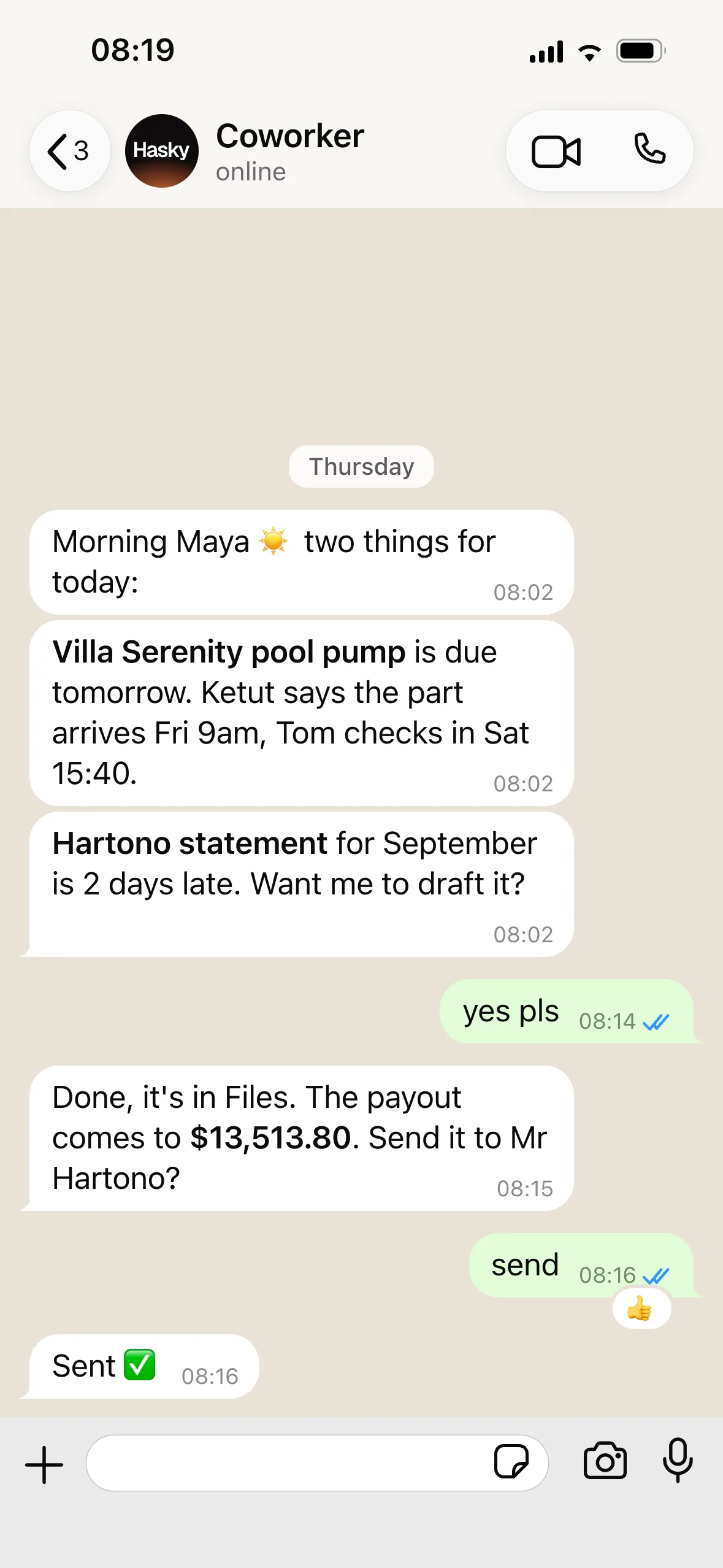 Coworker's one-to-one chat with Maya: two things for today, the owner statement drafted and sent